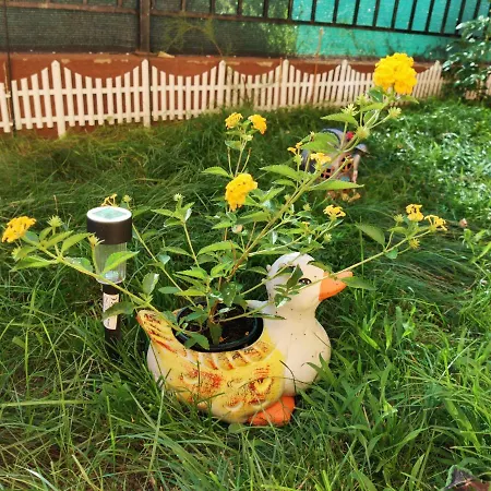 شقة светлая новая студия в